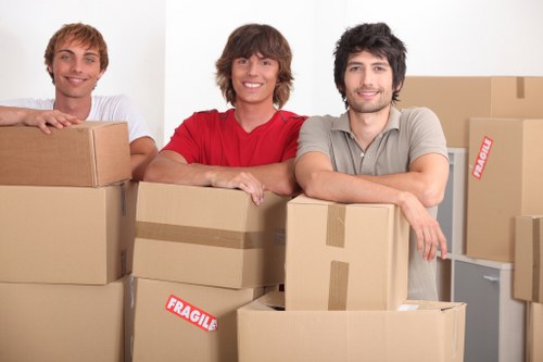 Delivery and unloading during a professional removals job